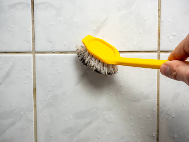 Best Residential Mold Remediation in Resaca, GA