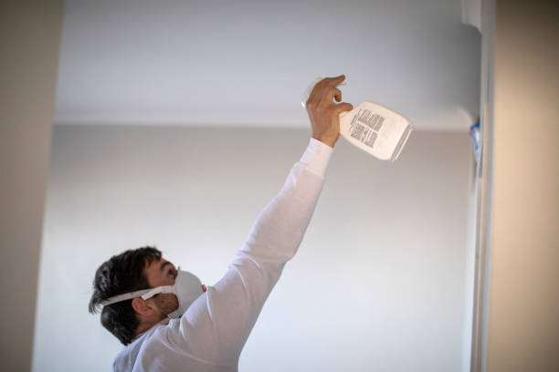 Best Mold Remediation for Specific Building Types in Resaca, GA