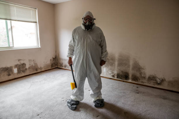 Best DIY Mold Remediation Support Services in Resaca, GA
